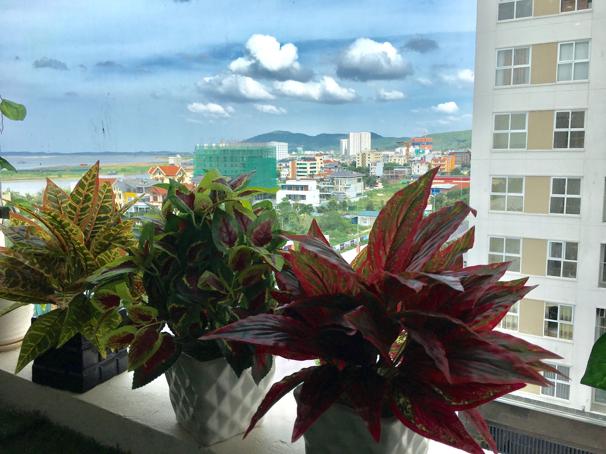Phòng Khách View Biển